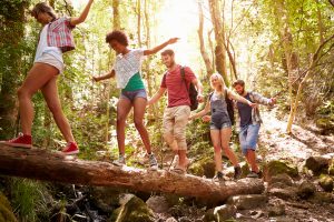 Groep die met de ogen goed balans houden tijdens het lopen over een boomstam.