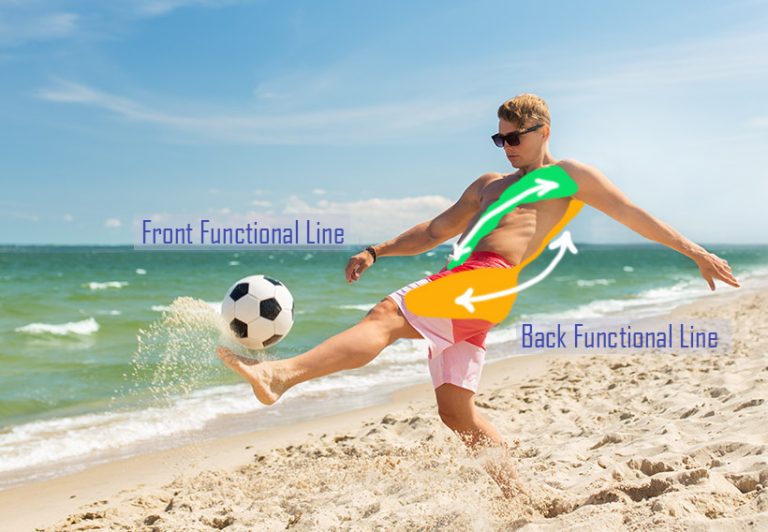 12-07-Is er bewijs voor krachtenoverdracht langs myofasciale ketens_693807817 12-07-Is er bewijs voor krachtenoverdracht langs myofasciale ketens_693807817
