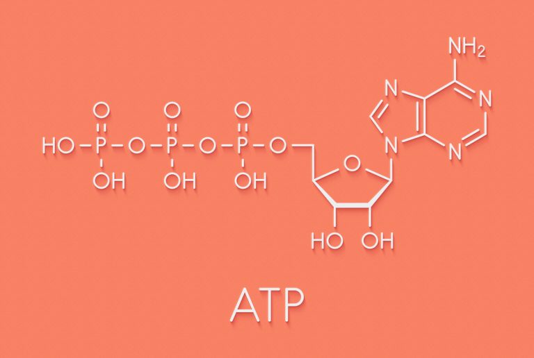 12-9-Energiesystemen en brandstof voor de hardloper_715579771 Adenosinetrifosfaat (ATP) structuurformule.