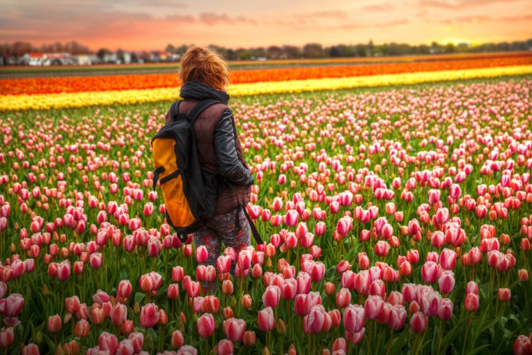 13-17-Ervaren controle is sleutelfactor bij wandelprogramma’s voor vrouwen met fibromyalgie_450675505 Fibromyalgie patiënte die haar stapsgewijze wandelpogramma uitvoert prachtig tulpenveld.