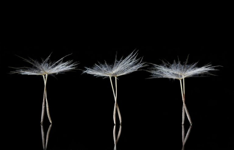 Mooi abstract plaatje met drie ballerina's.
