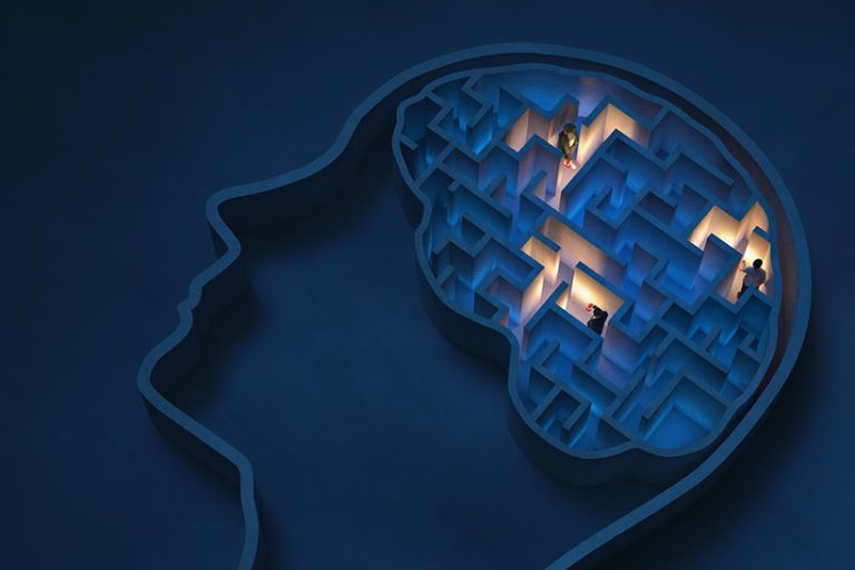 Seeking solutions in the human brain Seeking solutions in the maze-shaped human brain