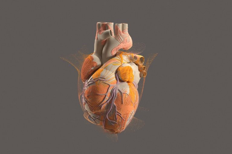 19-07-Interoceptie en pijn kansen voor de fysiotherapeut-iStock-1446443403 19-07-Interoceptie en pijn kansen voor de fysiotherapeut-iStock-1446443403