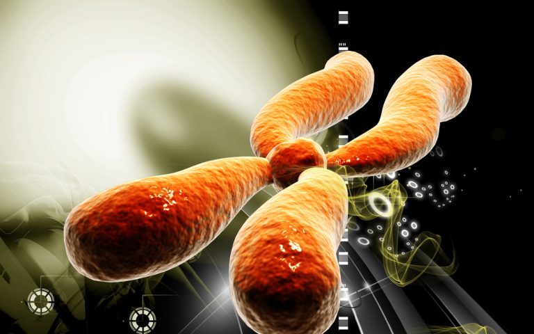 7_03_3_stress-verkort-telomeren_120038143 7_03_3_stress-verkort-telomeren_120038143