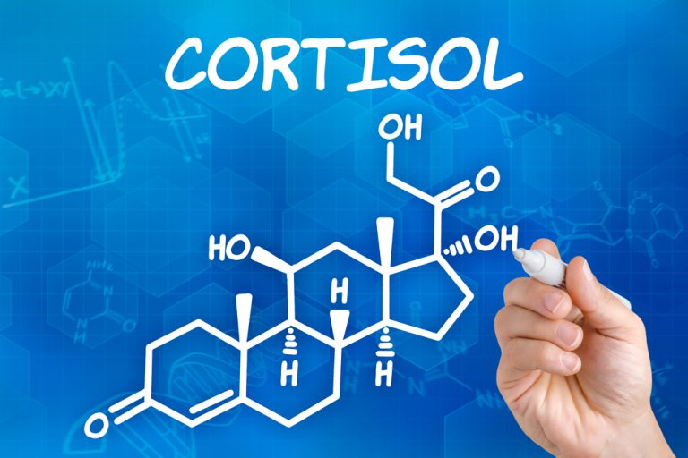 8-12-Bij-een-mindful-patient-uit-stress-zich-minder-in-een-verhoogde-cortisol-respons-165106778 8-12-Bij-een-mindful-patient-uit-stress-zich-minder-in-een-verhoogde-cortisol-respons-165106778