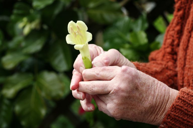 9-05-Positieve effecten van oefentherapie bij reuma in de hand_65991412 9-05-Positieve effecten van oefentherapie bij reuma in de hand_65991412