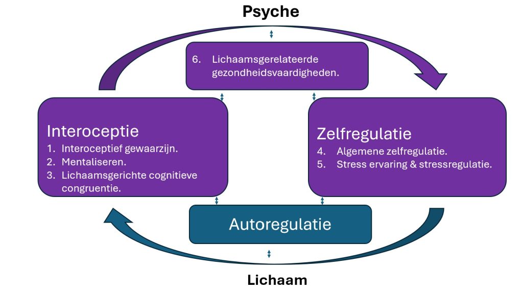 Fig 1. Het psychosomatisch competentiemodel